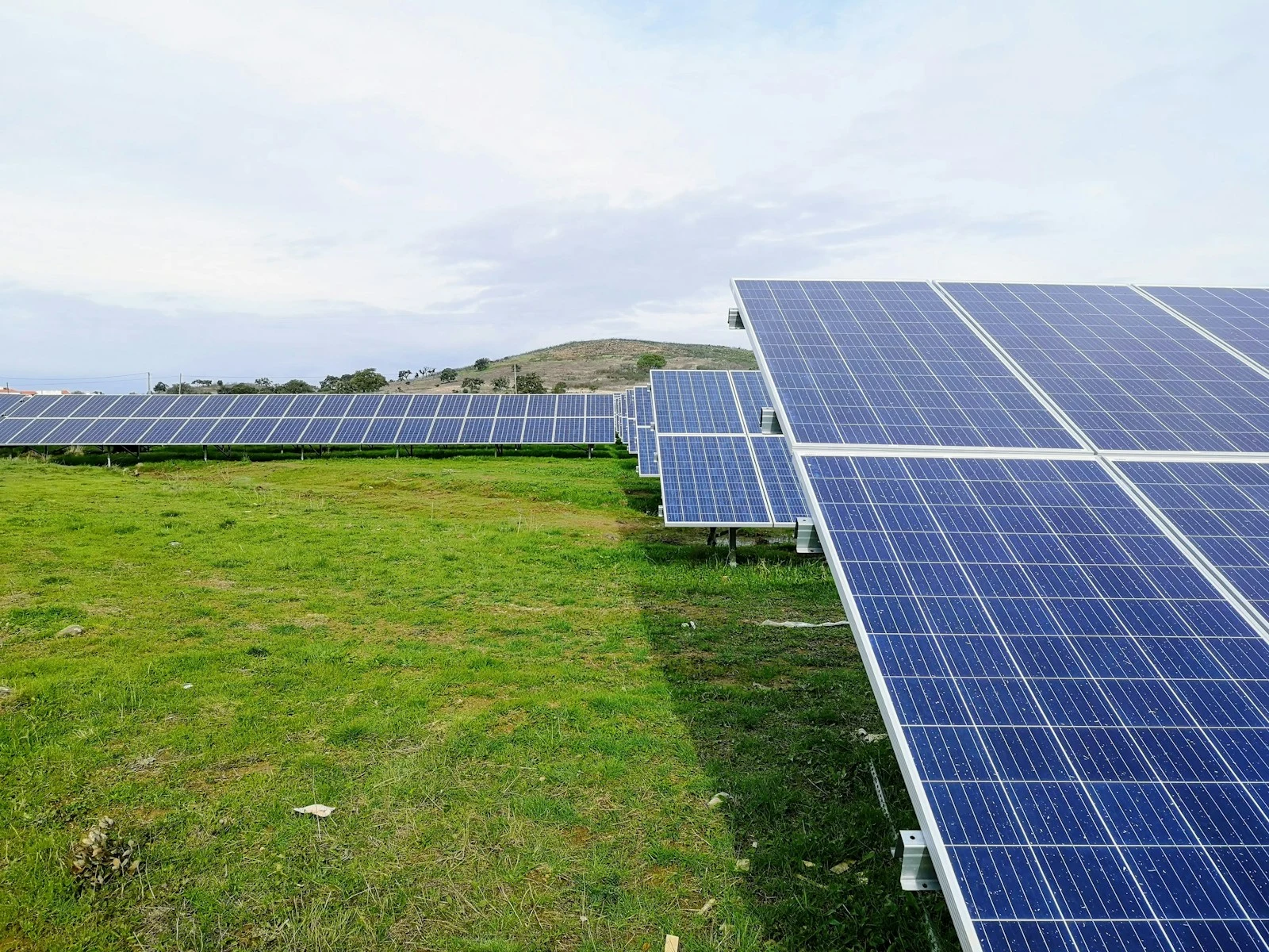 Temsili: BM iklim toplantısında COP31’in uygulama gündemi anlatıldı